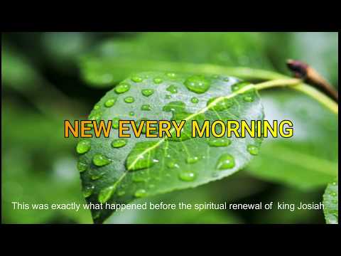 New Every Morning  (2 Kings 23:1-3)