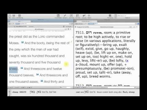 7-25-2015 Turah Portion - Mattot Massei: Numbers 30:2 - 36:13