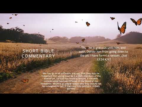 Job 33:24 - Short Bible commentary