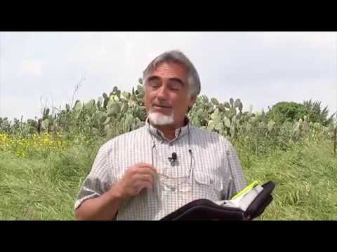 30. Ahab - Jezebel - Naboth = Elijah - I Kings 21:8-19