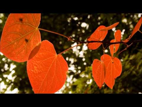 3/9/14 - Abiding and Praying - John 15:7