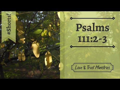 Great Are His Works! | Psalms 111:2-3 | June 22nd | Rise and Shine Shorts