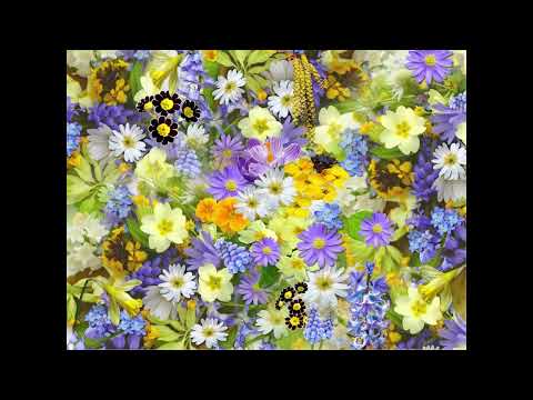 Coffee Break (5 Minutes with God) Psalm 78:48-51