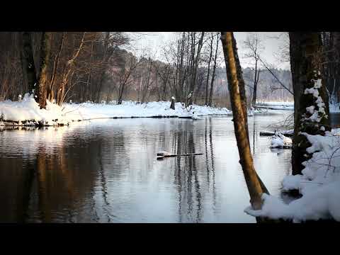 FLBC Daily Devotions: Psalm 145:20, "Repentance."