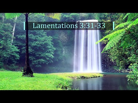 God's Word Daily - 28 Jun 2022 | Lamentations 3:31-33