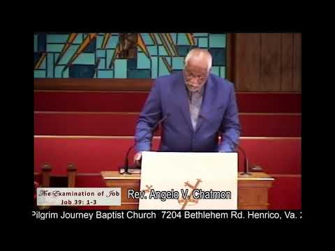 The Examination of Job - Job 39:1-3