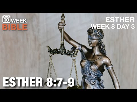 Write a New Decree | Esther 8:7-9 | Week 8 Day 3 Study of Esther