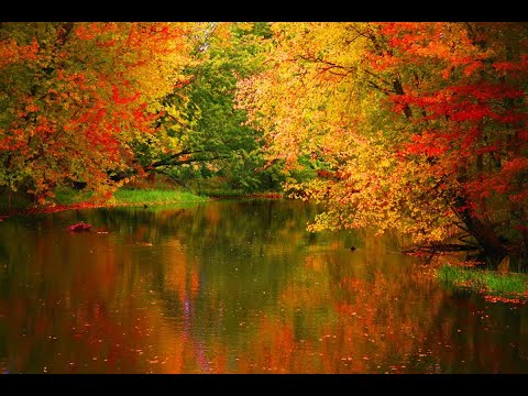 Scripture Verse By Verse (2024) Matthew 5:33-48