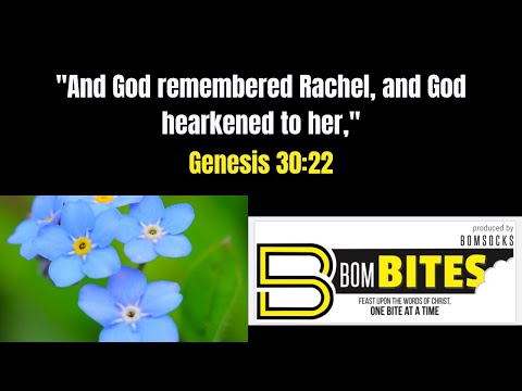 BOM-BITES Episode #500 - Genesis 30:22