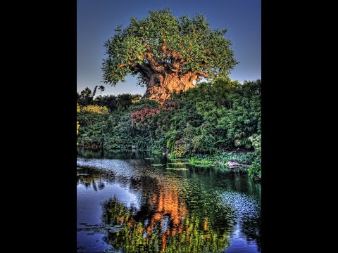 Tree of Life- Revelation 21:26-22:5