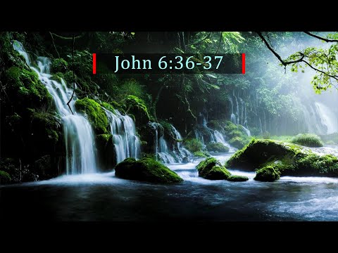 God's Word Daily - 08 July 2022 | John 6:36-37