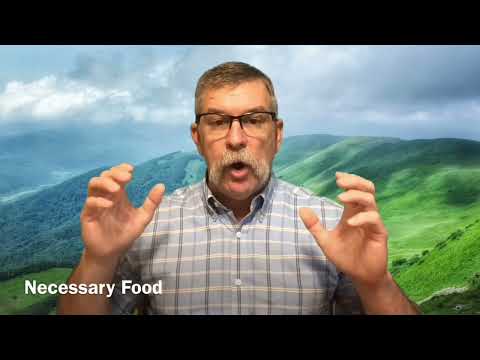 Seeking for transformation - Matthew 6:31-33