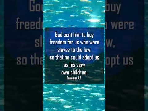 A reading of Galatians 4:5, 7 from the New Living Translation