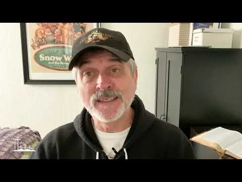 The Time Is Now | #274 VBC Daily 3 | John 4:34-38 | Larry Howard, Executive Pastor