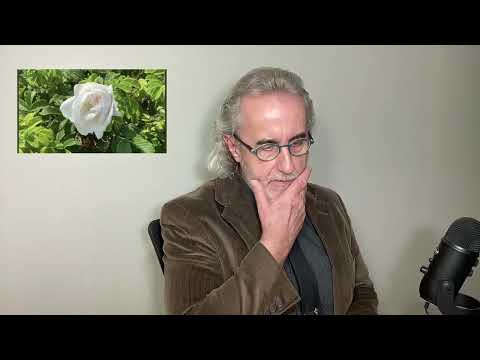 Scripture Verse By Verse (5) Judges 6:33-7:8