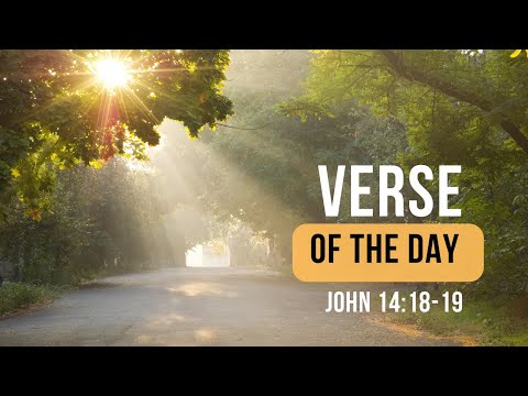 Verse of the Day: John 14:18-19 | God is Always With You
