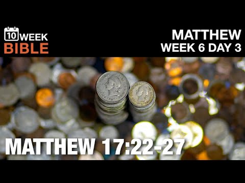 Peter Finds a Coin in a Fish | Matthew 17:22-27 | Week 6 Day 3