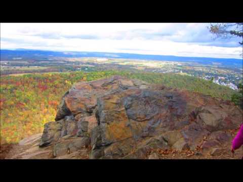 "What the Palms Point To" Revelation 7:9 - 10