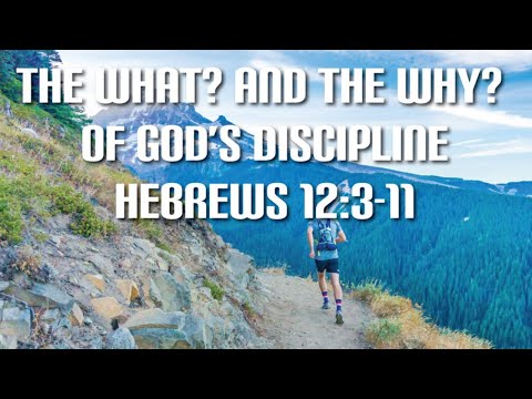 Run for the Prize: "Hebrews 12:3-11"