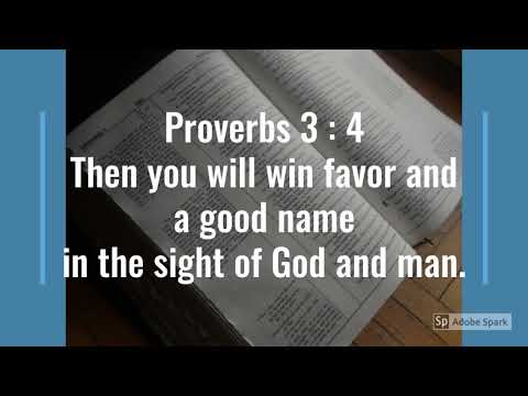 Bible Verse (Proverbs 3: 4 -6)