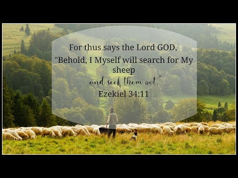 NDP "Search and seek them out" Ezekiel 34:11-16
