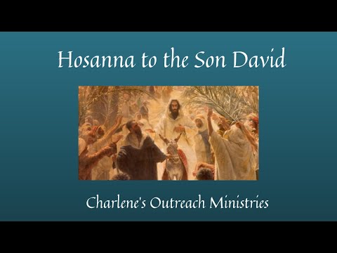 Hosanna to the Son David. Matthew 21: 4-9. Saturday's, Daily Bible Study.