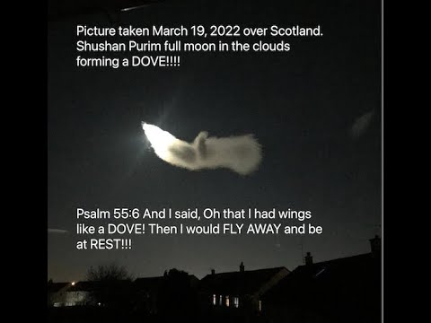 Psalm 55:6 Oh that I had wings like a DOVE!!! For then would I FLY AWAY, and be at REST!!!