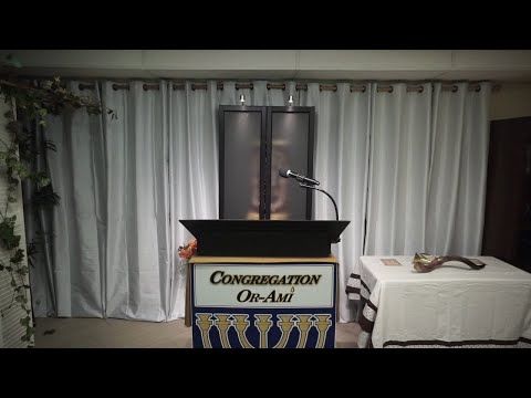 Shabbat Sukkot  Lev 22:26 - 23:44 and Num 29:12 - 29:16  Oct 3, 2020