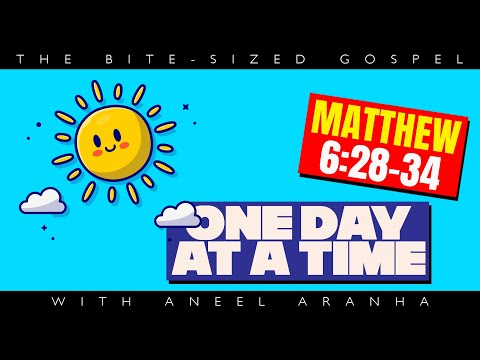The Bite-Sized Gospel with Aneel Aranha — Matthew 6:28-34