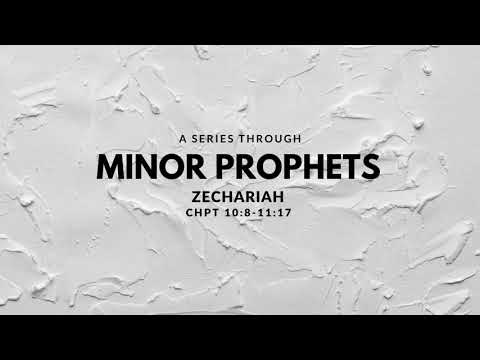Minor Prophets –  Zechariah  10:8-11:17
