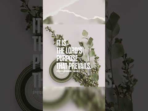 Daily Inspiration Verse of the day Proverbs 19:21 #DailyInspiration