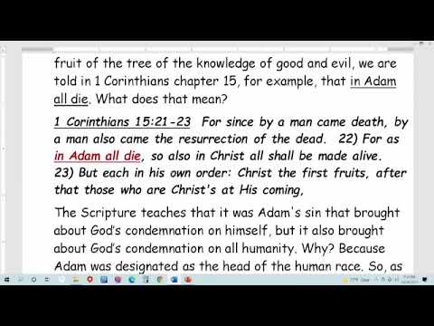 ROMANS, LESSON 134, 1 Corinthians 15:22 -"In Adam all die" Do You Know What that Means? 10-28-21