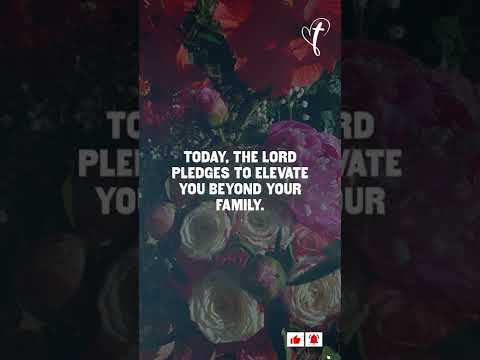 In Psalm 18:48 we read, ‘He delivers me from my enemies.