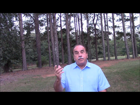 Isaiah 57:1 says the righteous will vanish at the Rapture!