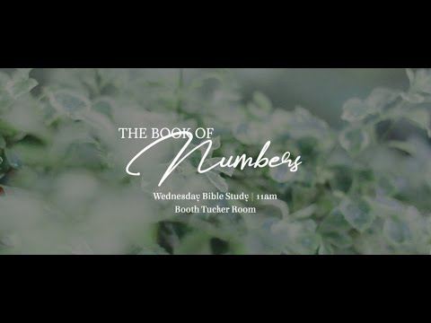 Light the Lamps - Numbers 8:1-4