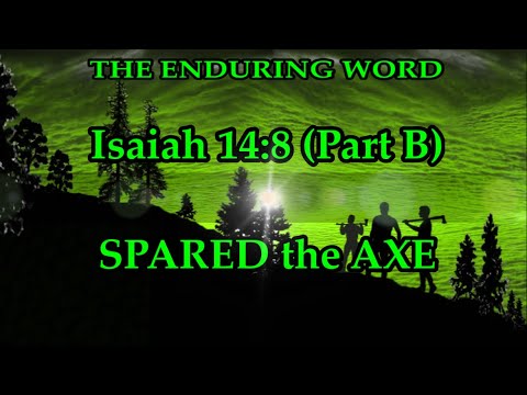 SPARED THE AXE (Isaiah 14:8 - Part B)