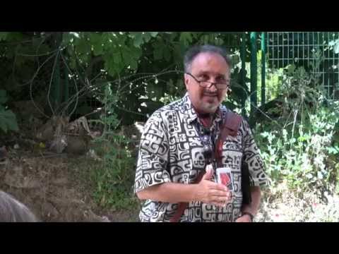 Pool of Siloam, John 9:1-11, 24-25; 2015 Israel Tour