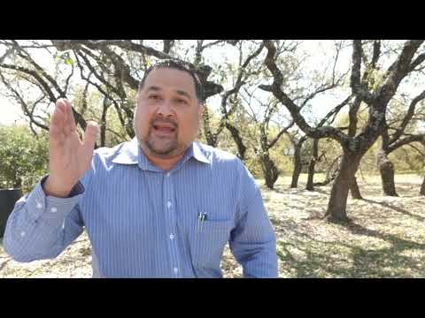 I AM the Resurrection and the Life! John 11:25-26