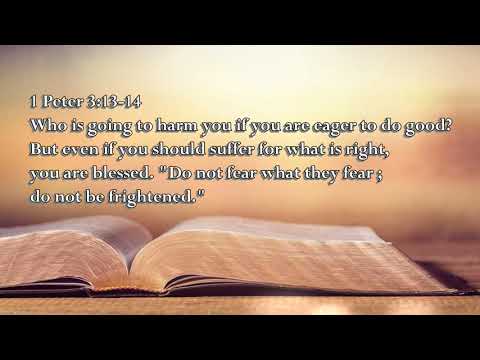 1 Peter 3 :13 14 The Voice of the Lord  November 12, 2022 by Pastor Teck Uy