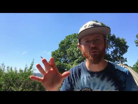 Your True Purpose / 1Corinthians 12: 15-19 Bible Verses