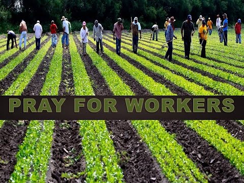Pray for Workers - Matthew 9:35-38