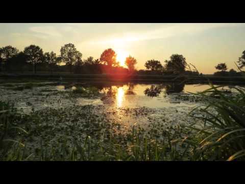 Psalm 83: 1 en 10. Samenzang.