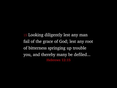 Hebrews 12:15—God's Gospel Backhoe | Crash Course in Basic Christianity #4