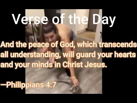 Philippians 4:7 - Verse of the Day