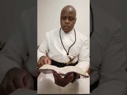 Reflection by Fr. Ndodana Tshuma, OMI: Matthew 23:23-26 (25-08-2020)