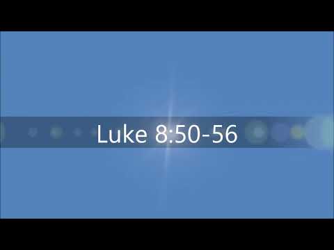 Luke 8:50-56 | Adventure Nate