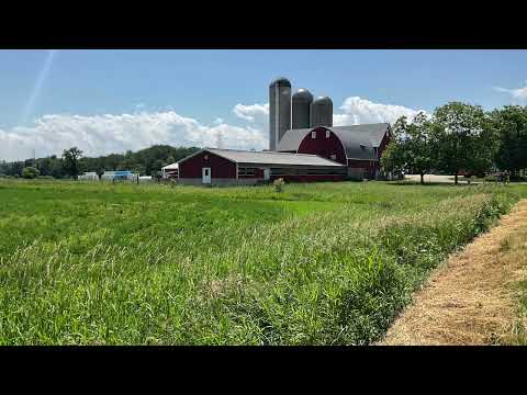 Coffee Break   (5 Minutes with God) Psalm 111:7-10