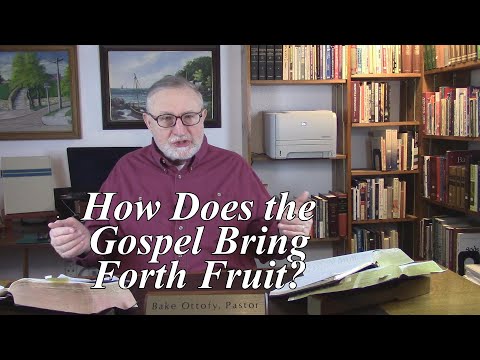 How Does the Gospel Bring Forth Fruit? Colossians 1:5-6. (#63)