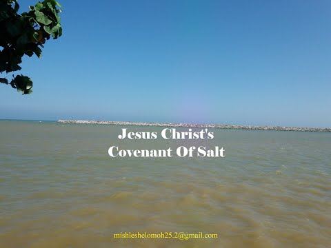 Jesus Christ's Covenant Of Salt in Leviticus 2:13 and Colossians 4:6 #JesusChristsCovenantOfSalt
