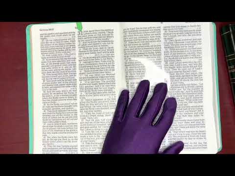1/25/22, Psalm 9, Proverbs 25, Ecc.7:15-29, Genesis 31:1-32:32, Matthew 11:1-30 Old &New Testament